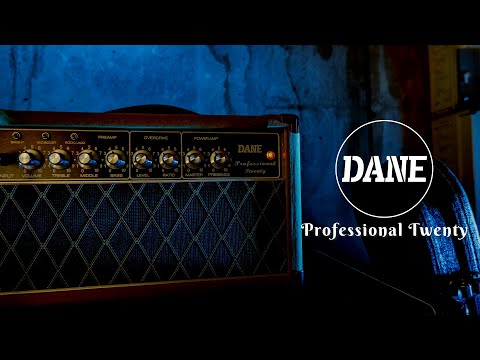 Professional 20